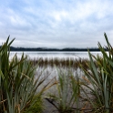 NZL WTC Harihari 2018APR30 LakeIanthe 003 : - DATE, - PLACES, - TRIPS, 10's, 2018, 2018 - Kiwi Kruisin, April, Day, Harihari, Lake Ianthe, Monday, Month, New Zealand, Oceania, West Coast, Year
