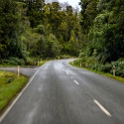 NZL WTC Kakapotahi 2018APR30 WaitahaRoad 001  Trundling along the bumpy roads around the rain forests of   Kakapotahi   while trying to get a shot through the windscreen, presents a whole different set of challenges - but it’s nothing we can't handle. : - DATE, - PLACES, - TRIPS, 10's, 2018, 2018 - Kiwi Kruisin, April, Day, Kakapotahi, Monday, Month, New Zealand, Oceania, Waitaha Road, West Coast, Year